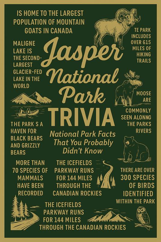 Jasper National Park story scene