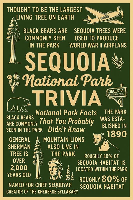 Sequoia National Park detail