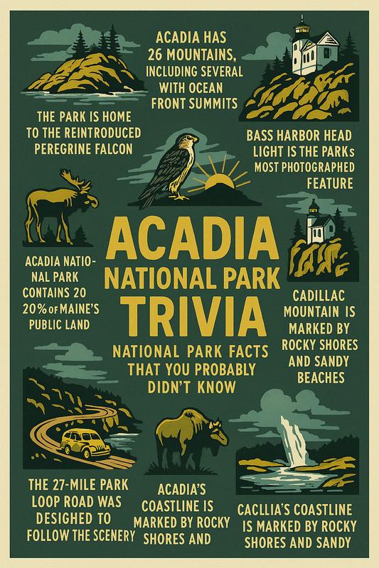 Acadia National Park story scene