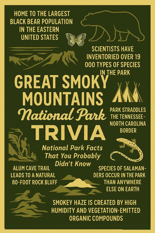Great Smoky Mountains National Park story scene