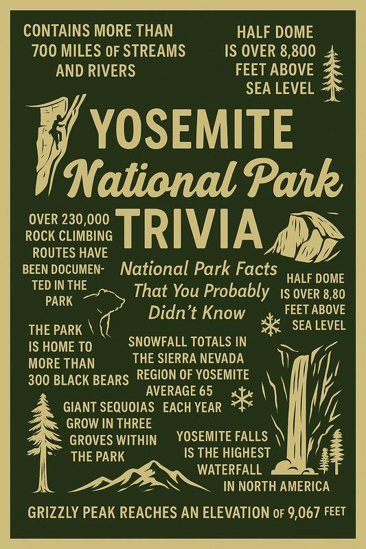 Yosemite National Park detail