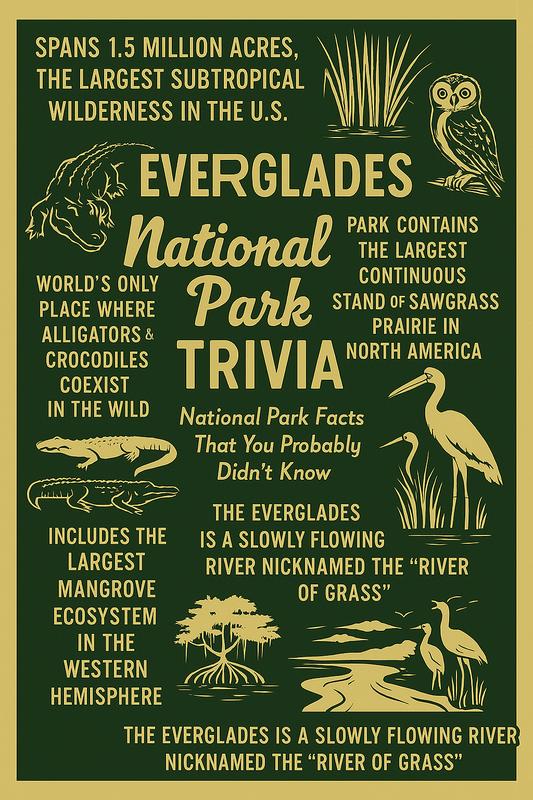 Everglades National Park story scene