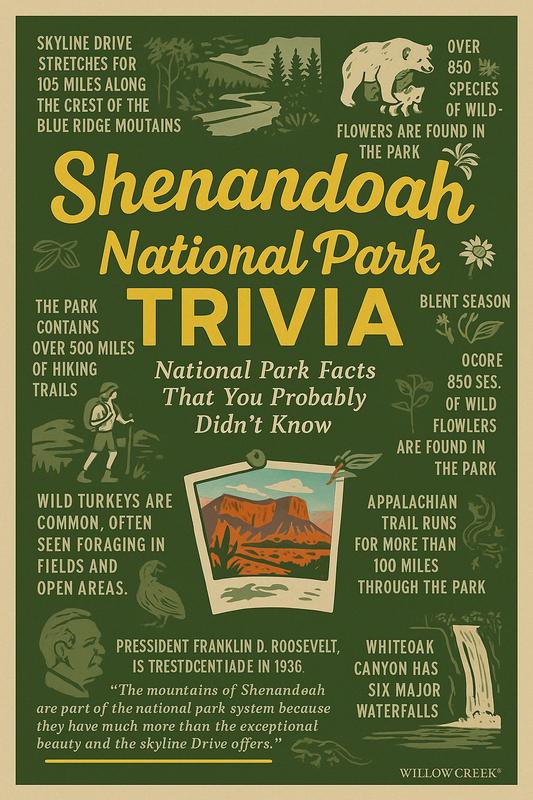 Shenandoah National Park story scene