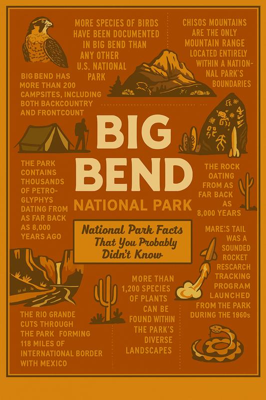 Big Bend National Park detail