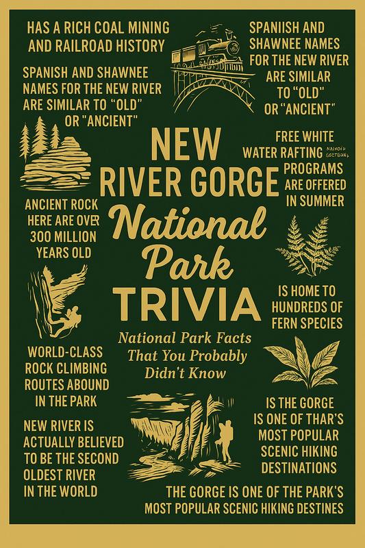 New River Gorge detail