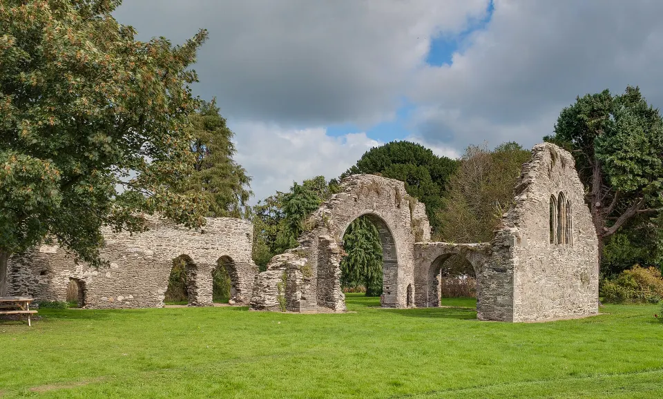 Wicklow Friary