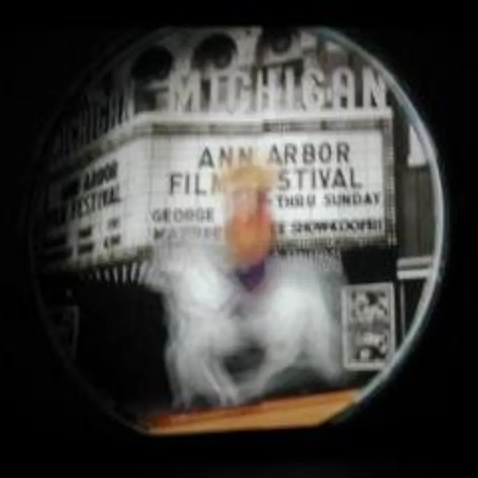 Ann Arbor Film Festival