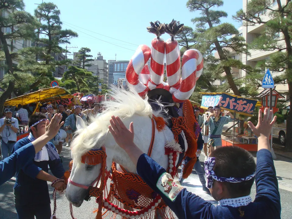 Boshita Festival