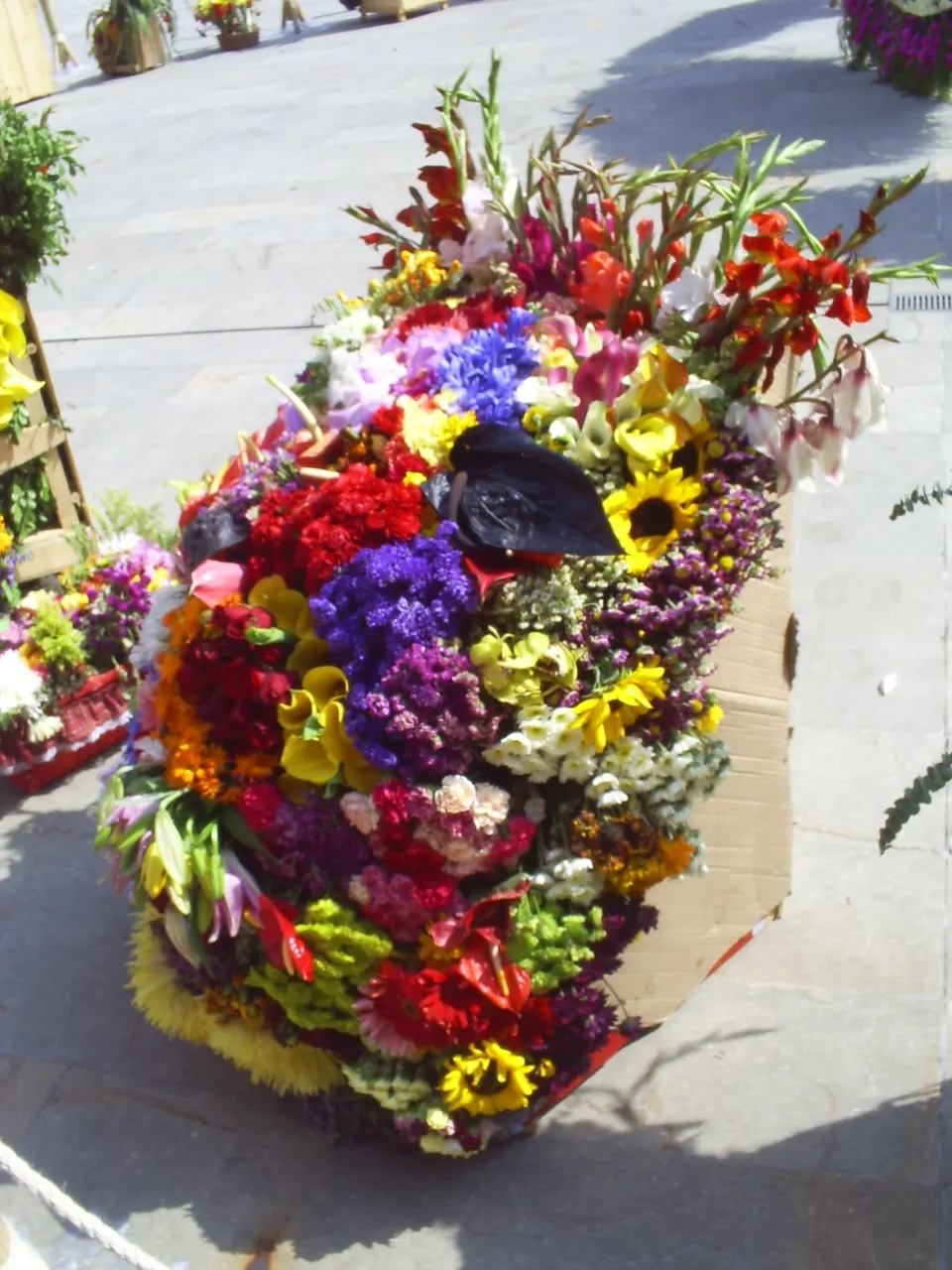 Festival of the Flowers