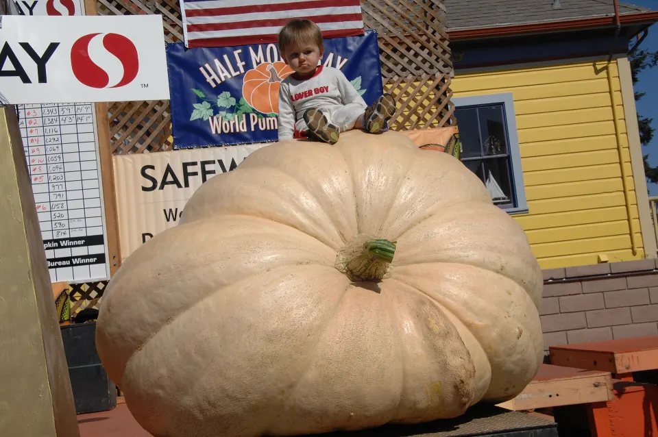 Half Moon Bay Art and Pumpkin Festival