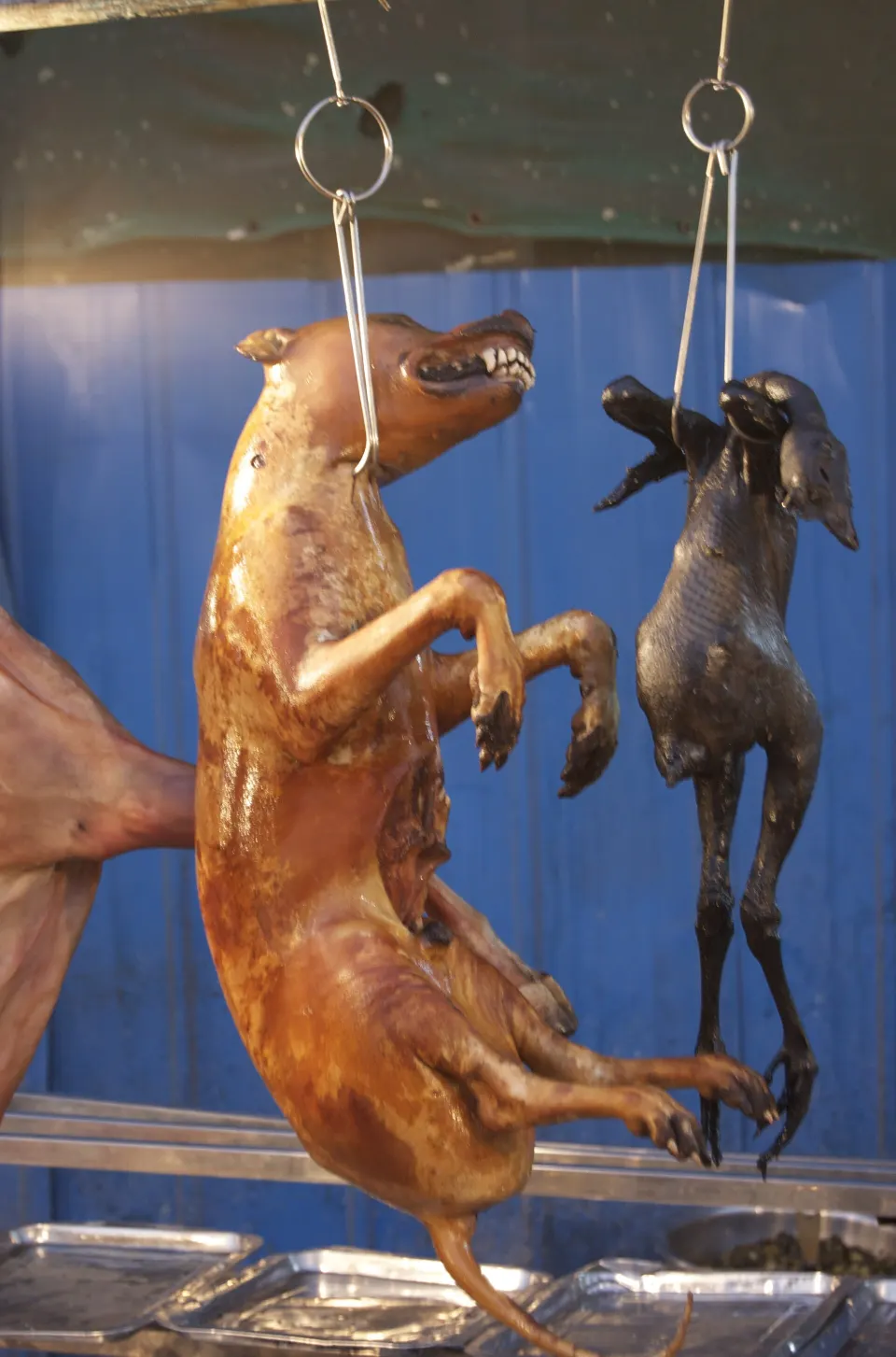 Yulin Festival and Dog meat Consumption in China