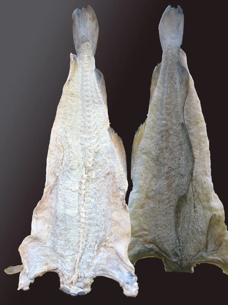bacalhau, reference photograph for the food guide