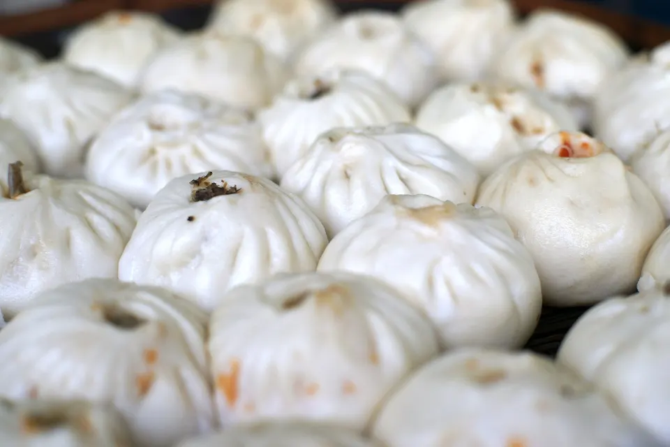 baozi, reference photograph for the food guide