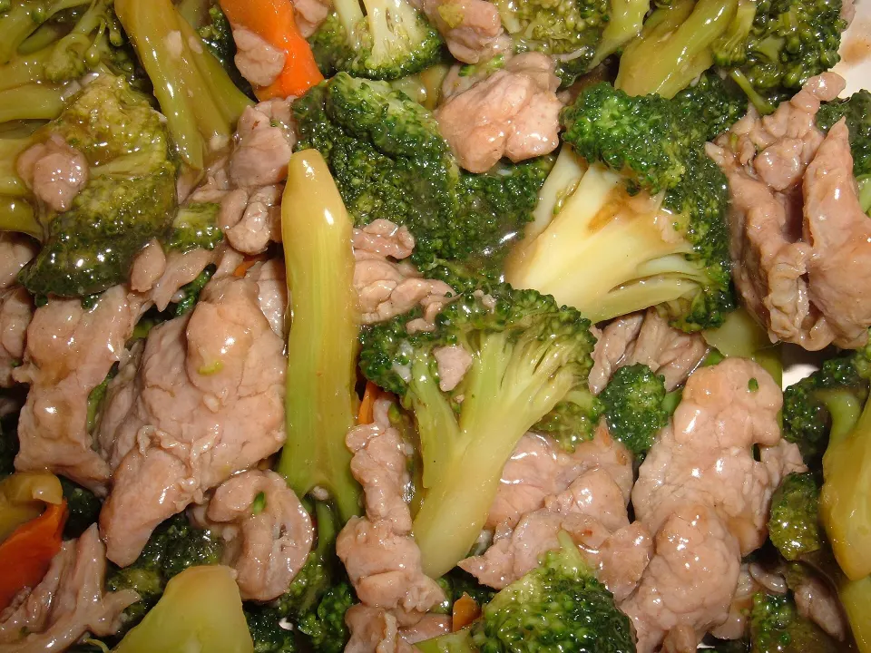 beef and broccoli, reference photograph for the food guide