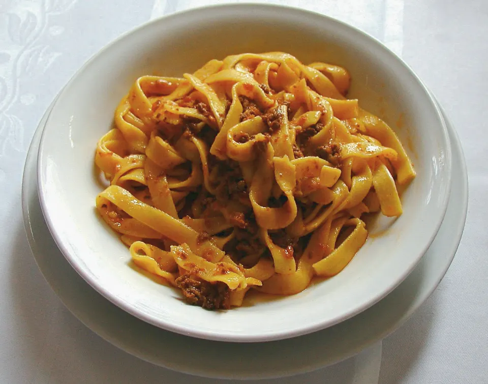 bolognese sauce, reference photograph for the food guide