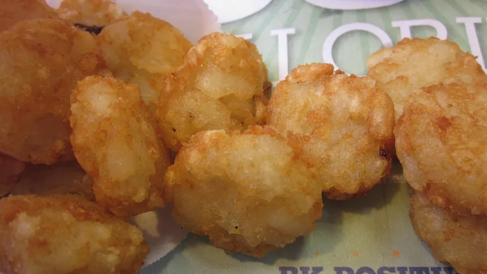 Burger King Hash Browns, reference photograph for the food guide
