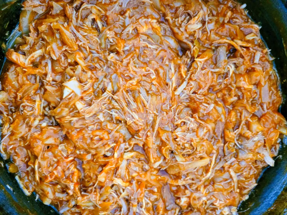 Carne polaca, reference photograph for the food guide