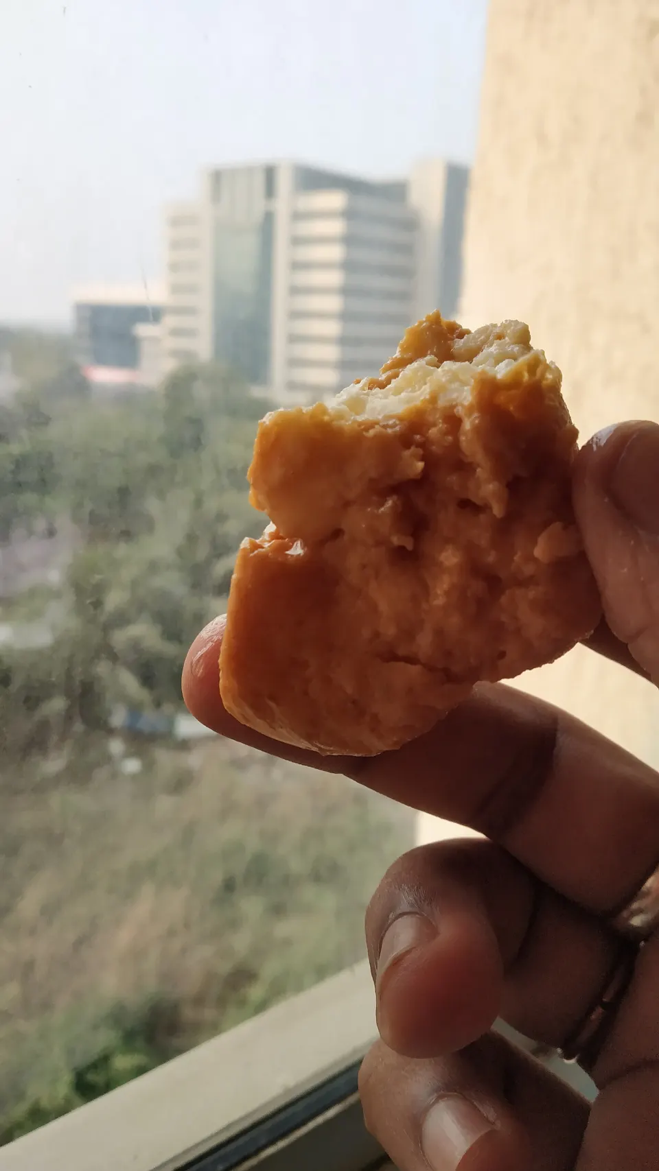 Chhena Mudki, reference photograph for the food guide