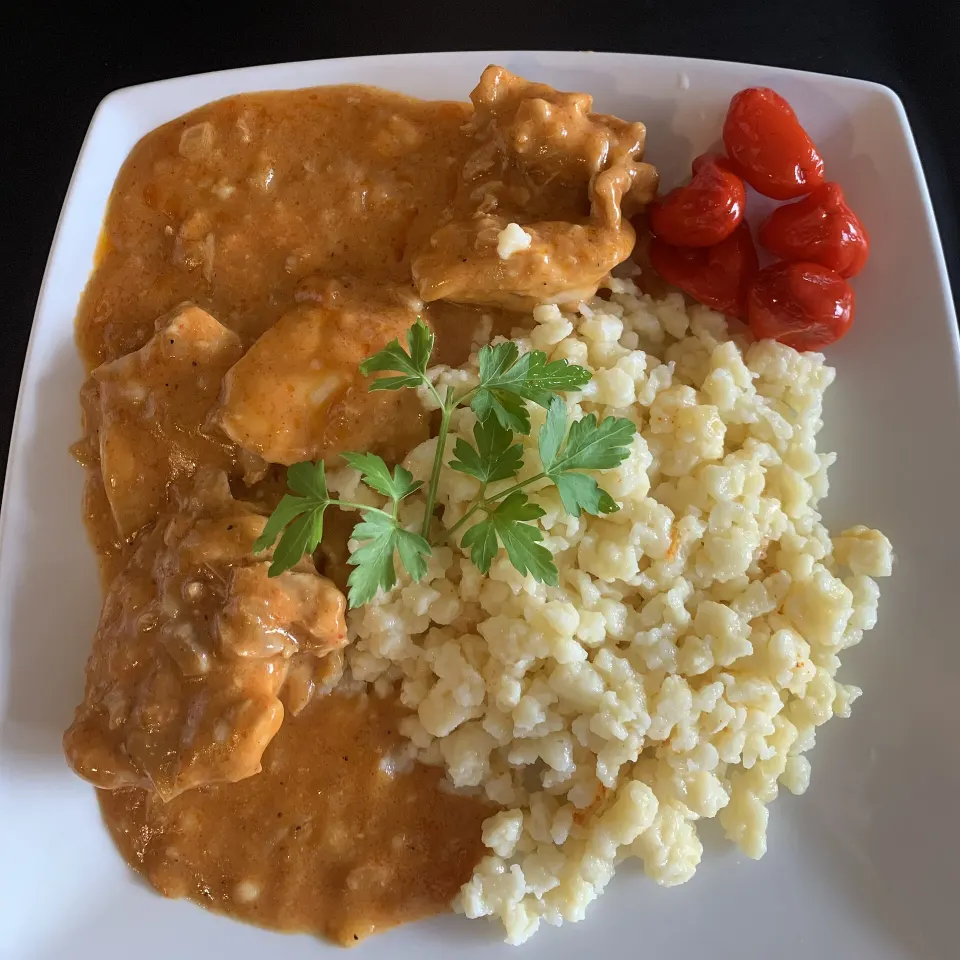 chicken paprikash, reference photograph for the food guide