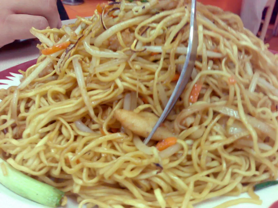 chow mein, reference photograph for the food guide