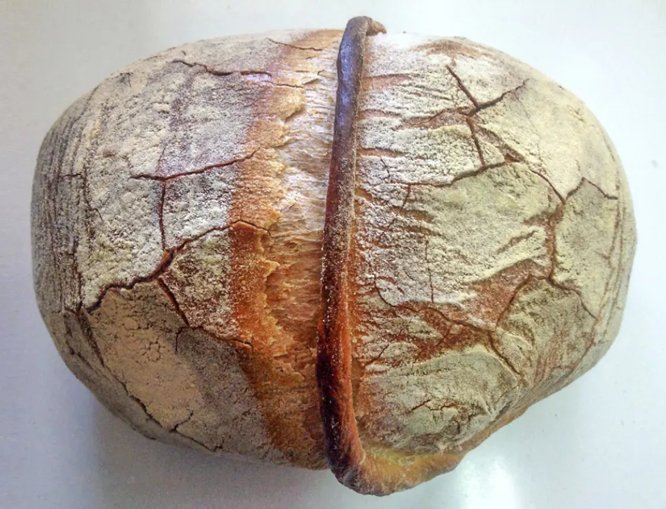 Cinta bread, reference photograph for the food guide