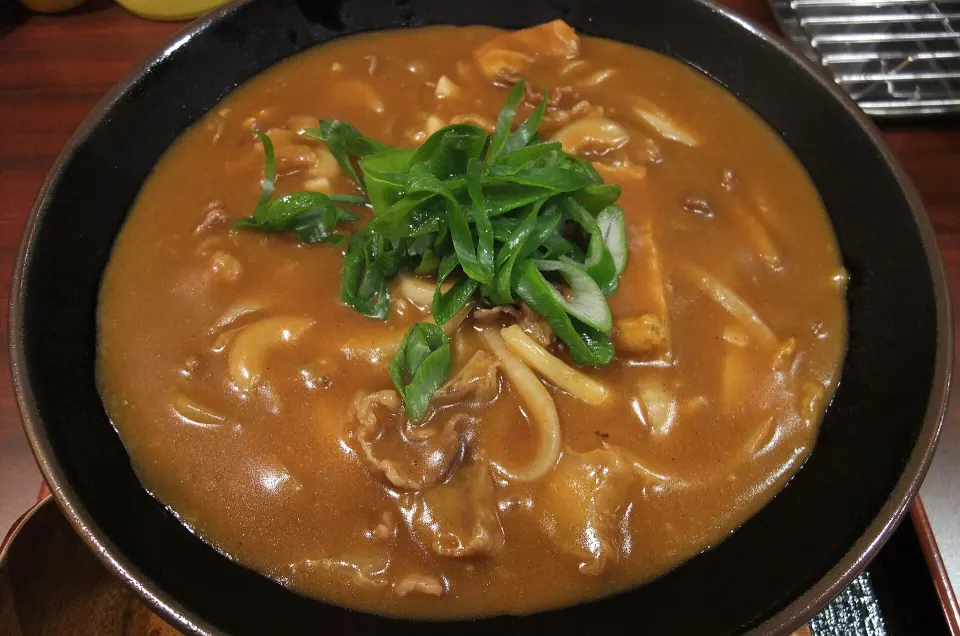 curry udon, reference photograph for the food guide