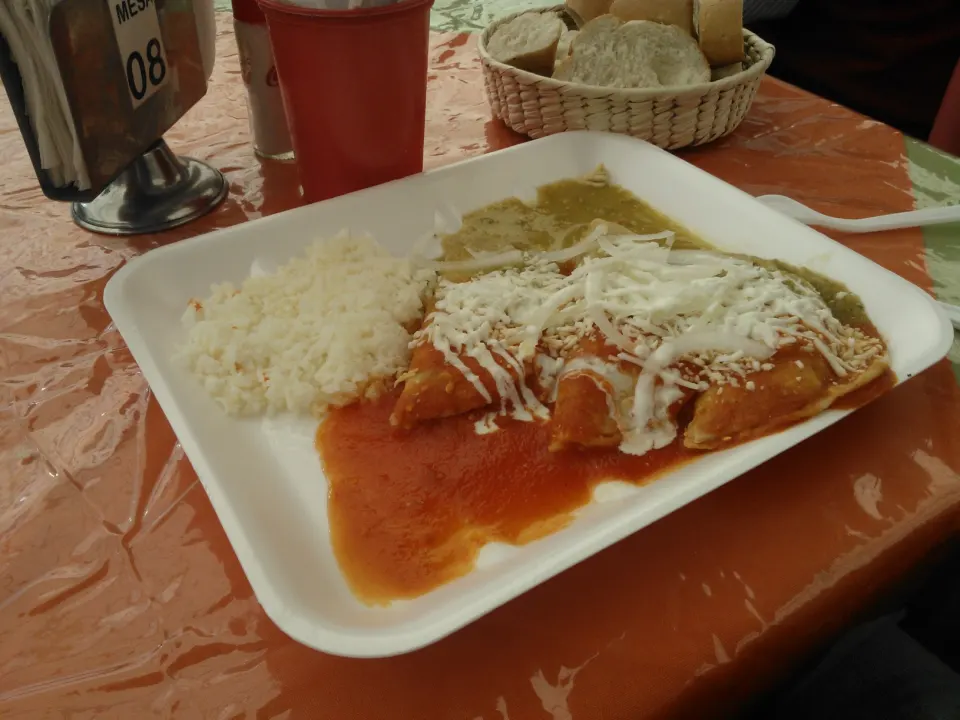 enchilada, reference photograph for the food guide