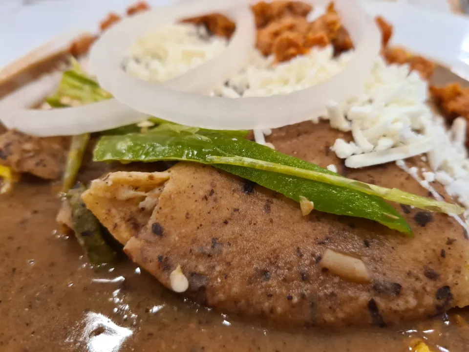 Enfrijoladas, reference photograph for the food guide