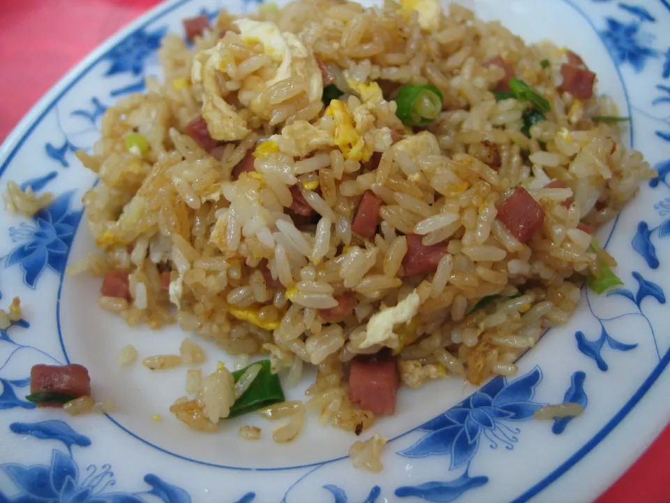 fried rice, reference photograph for the food guide