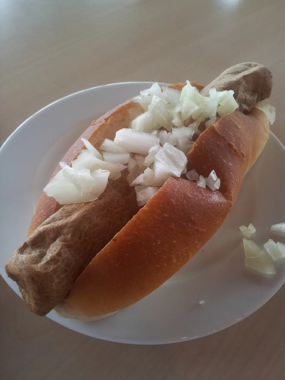 frikandel sandwich, reference photograph for the food guide