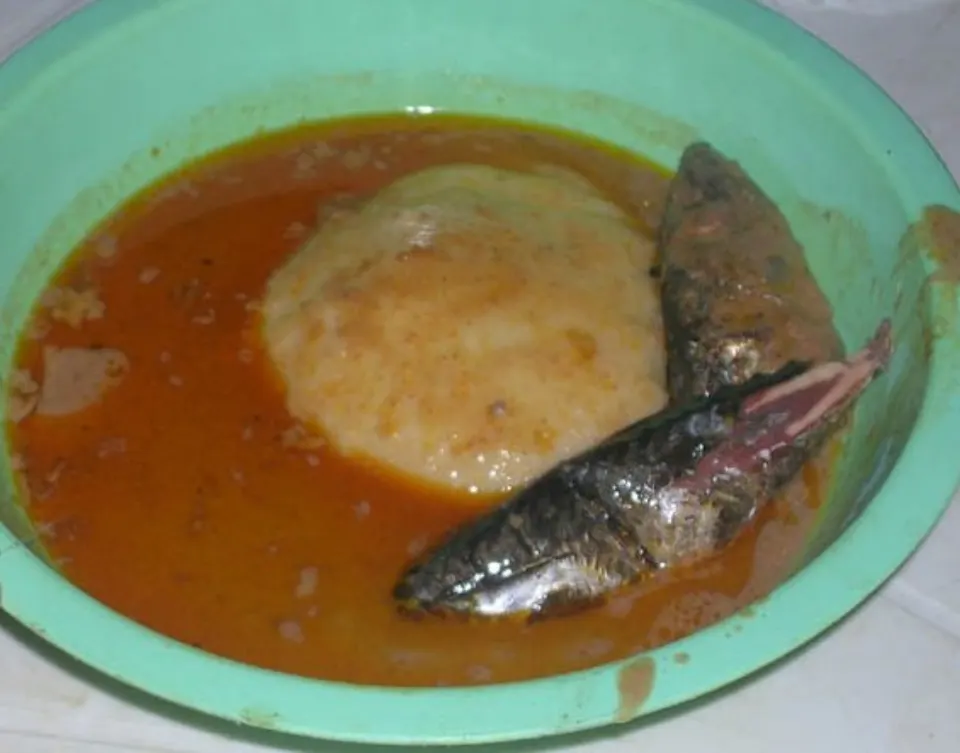 Groundnut soup, reference photograph for the food guide