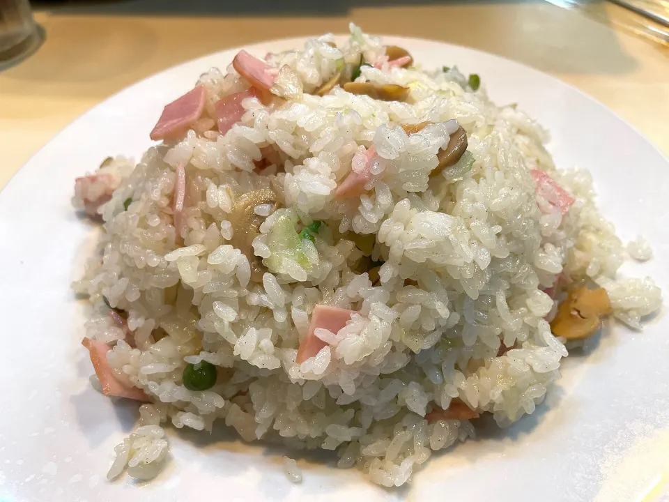 ham rice, reference photograph for the food guide