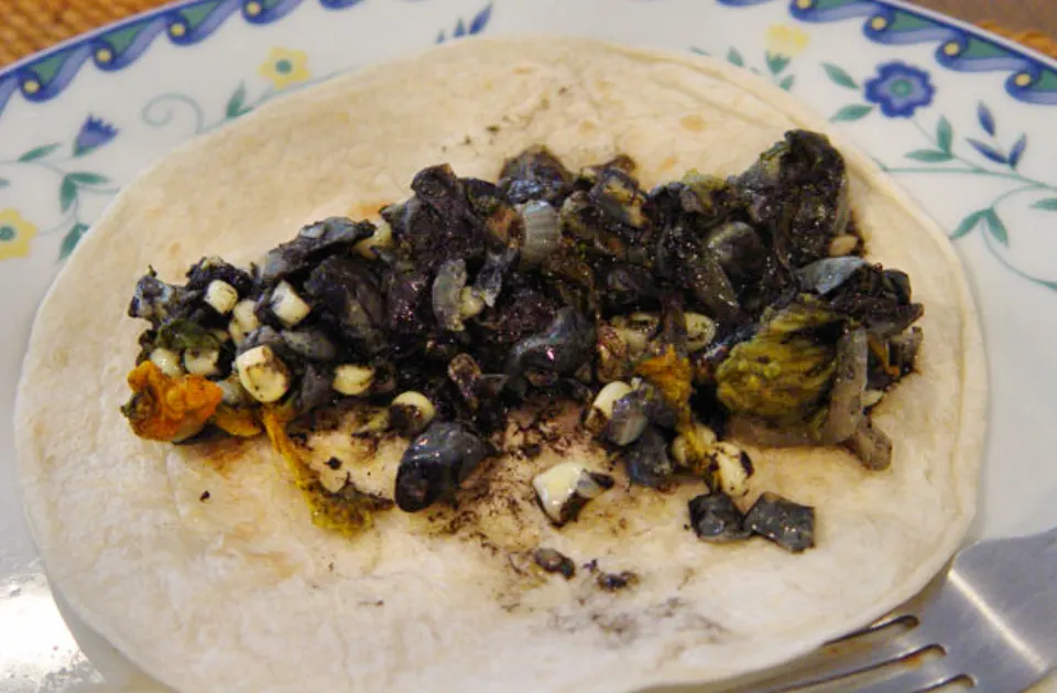 huitlacoche, reference photograph for the food guide