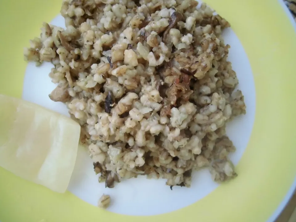 kuba, reference photograph for the food guide