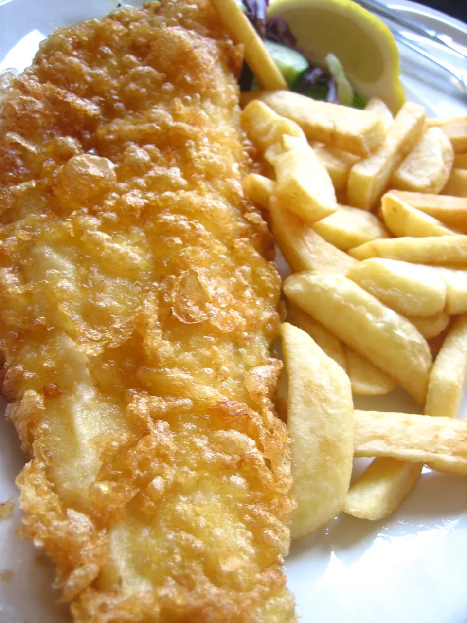 lekkerbekje, reference photograph for the food guide