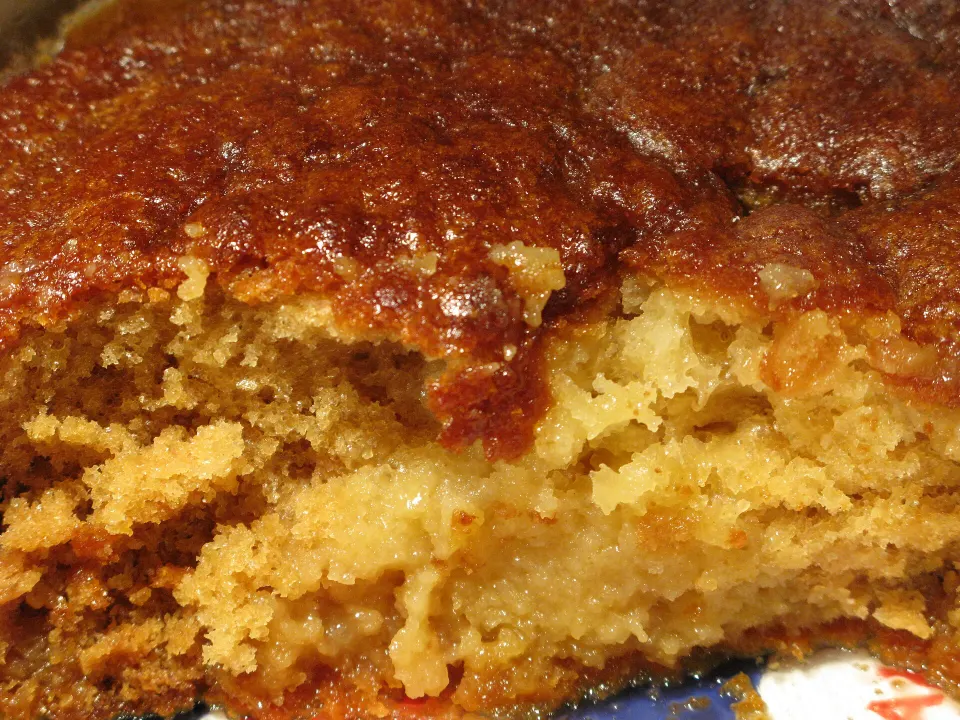 Malva pudding, reference photograph for the food guide
