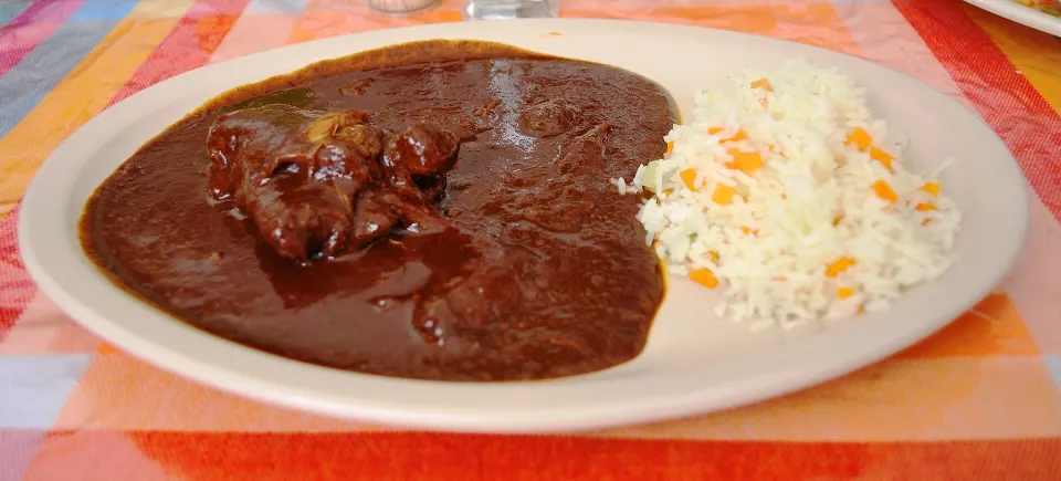 mole, reference photograph for the food guide