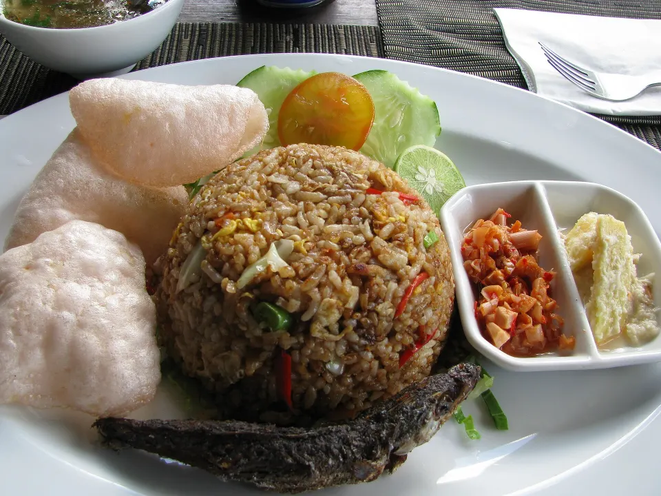 nasi goreng, reference photograph for the food guide