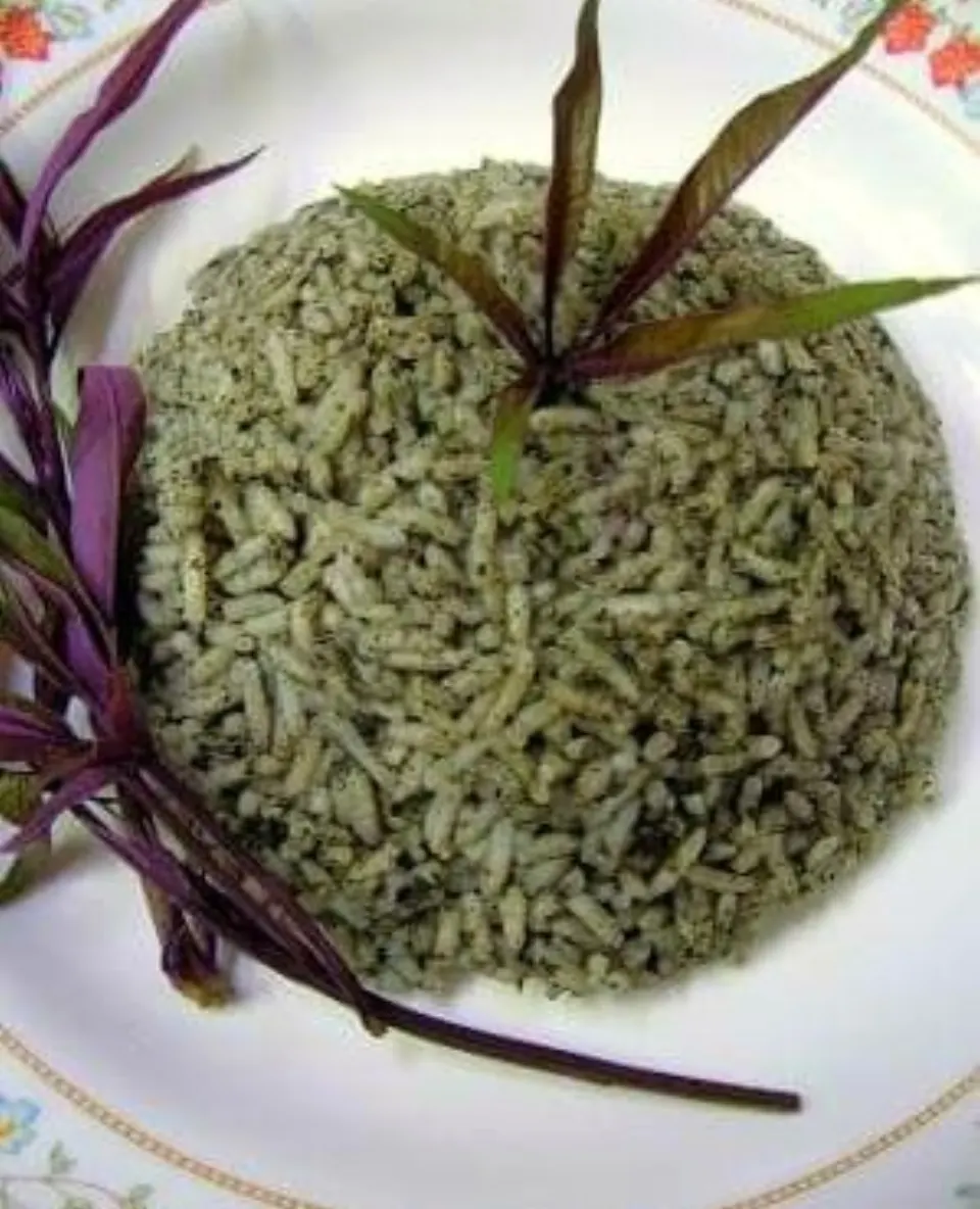 nasi lemuni, reference photograph for the food guide