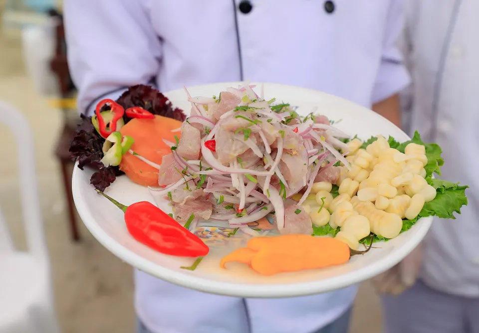 Peruvian ceviche, reference photograph for the food guide
