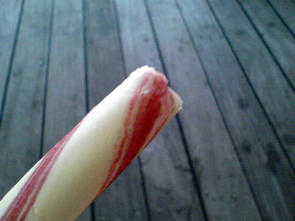polkagris, reference photograph for the food guide