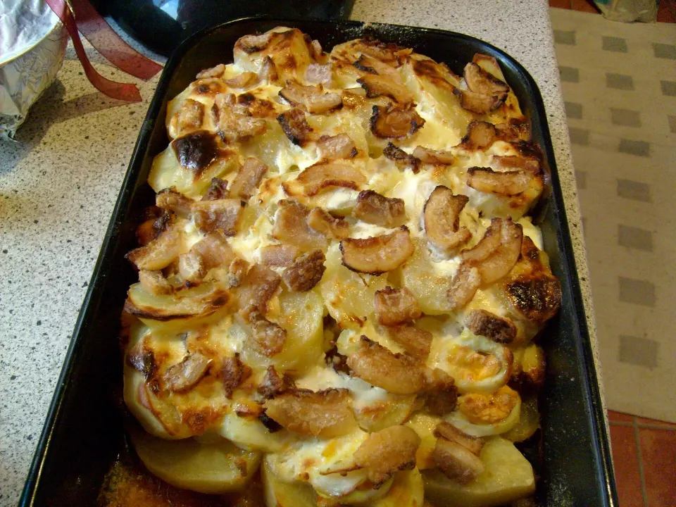 Rakott krumpli, reference photograph for the food guide