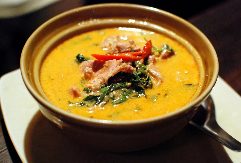 red curry, reference photograph for the food guide