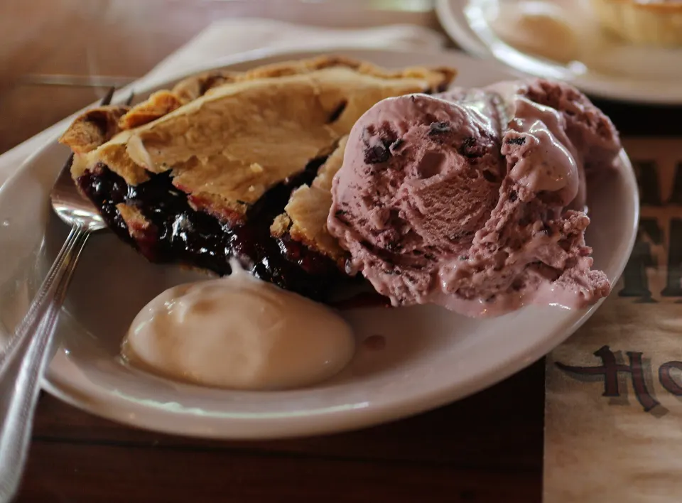 Saskatoon berry pie, reference photograph for the food guide