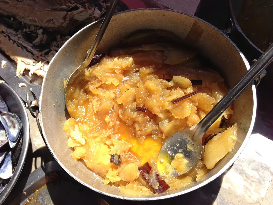 Soetpatats, reference photograph for the food guide