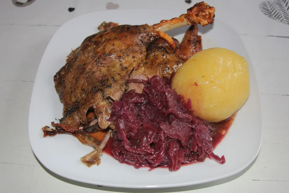 St. Martin's goose, reference photograph for the food guide