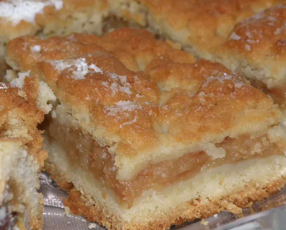 szarlotka, reference photograph for the food guide