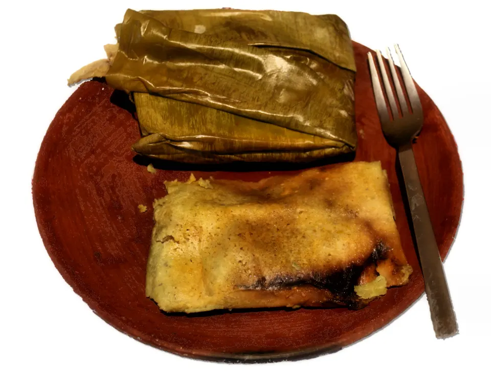 tamale, reference photograph for the food guide
