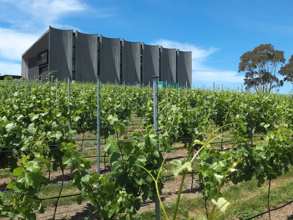 Moorilla Estate