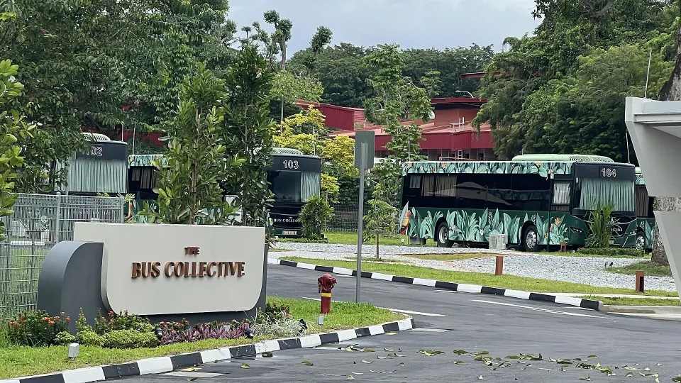The Bus Collective